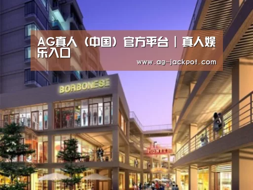 ag真人官网入口案例展示一